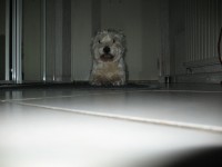 /album/photos/pour-site-2-2-jpg/